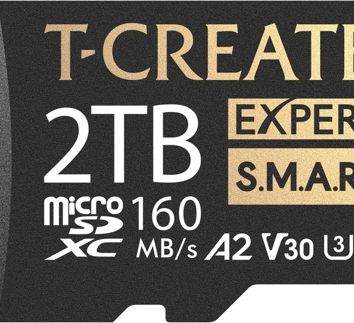 Nintendo Switch Lite Mod-Chip install